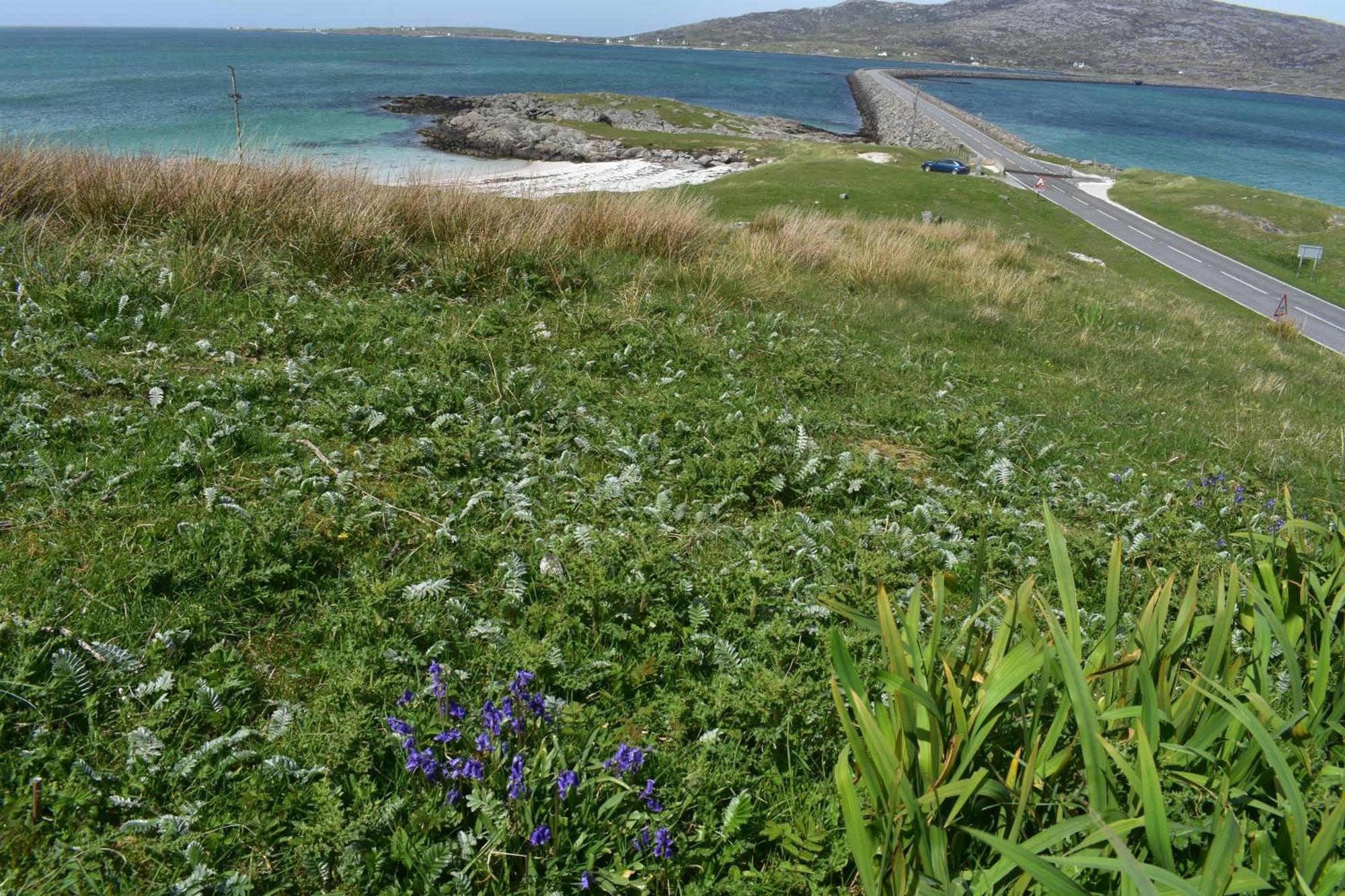 Glamping Pod For 2 Pod Beag Na Haun Eriskay Villa ภายนอก รูปภาพ